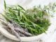 herbs