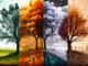 seasons