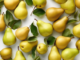 pear-health-benefits